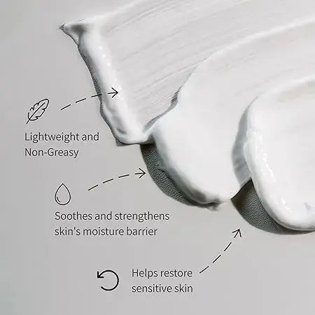 Vegan Kombucha Collagen Cream 50ml Herbloom